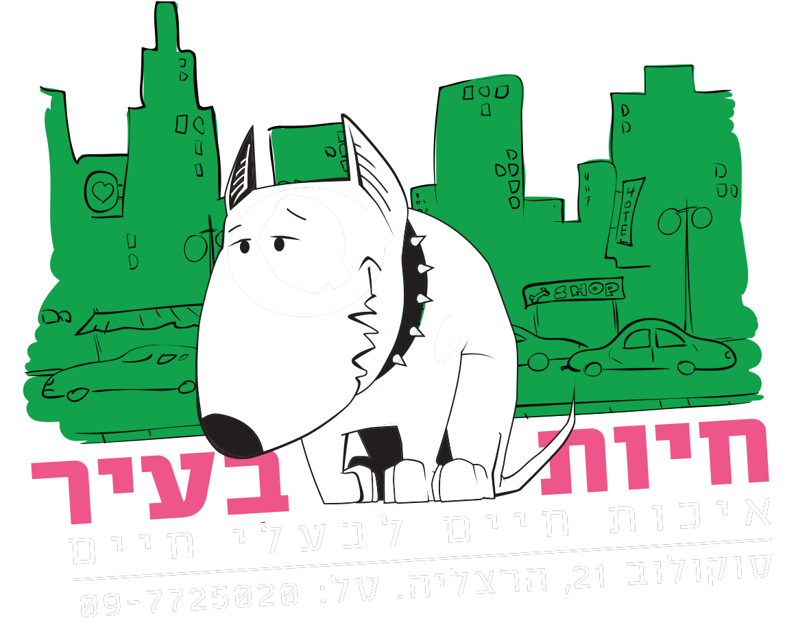 חנות החיות שלנו